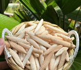 Điểm tin Xứ Dừa 10/9/2026: Bánh đuông Bến Tre - Sức hút trên sàn thương mại điện tử