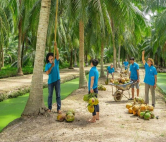 Điểm tin Xứ Dừa ngày 20/09/2026: Dừa hữu cơ nâng giá trị cây dừa Bến Tre