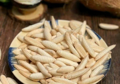 ĐIỂM TIN BẾN TRE NGÀY 31/8/2026