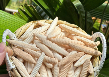 Điểm tin Xứ Dừa 10/9/2026: Bánh đuông Bến Tre - Sức hút trên sàn thương mại điện tử