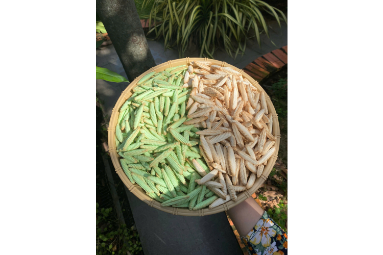 Combo Bánh Đuông Sữa Mix 2 vị truyền thống và Lá Dứa Bến Tre – Túi 500g